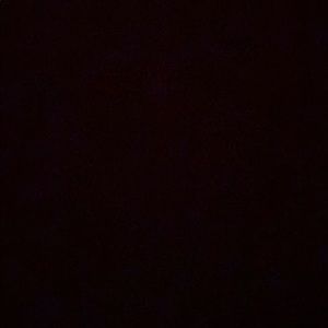 Meet your Posher, Bibi